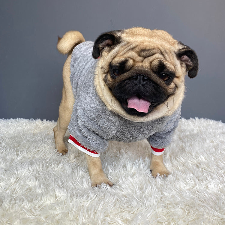 Cozy Knit Pet Sweater: The Perfect Blend of Comfort and Style