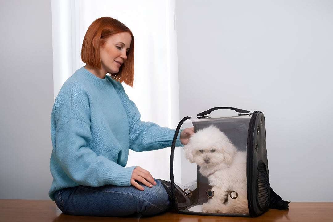 Choosing the Perfect Pet Carrier