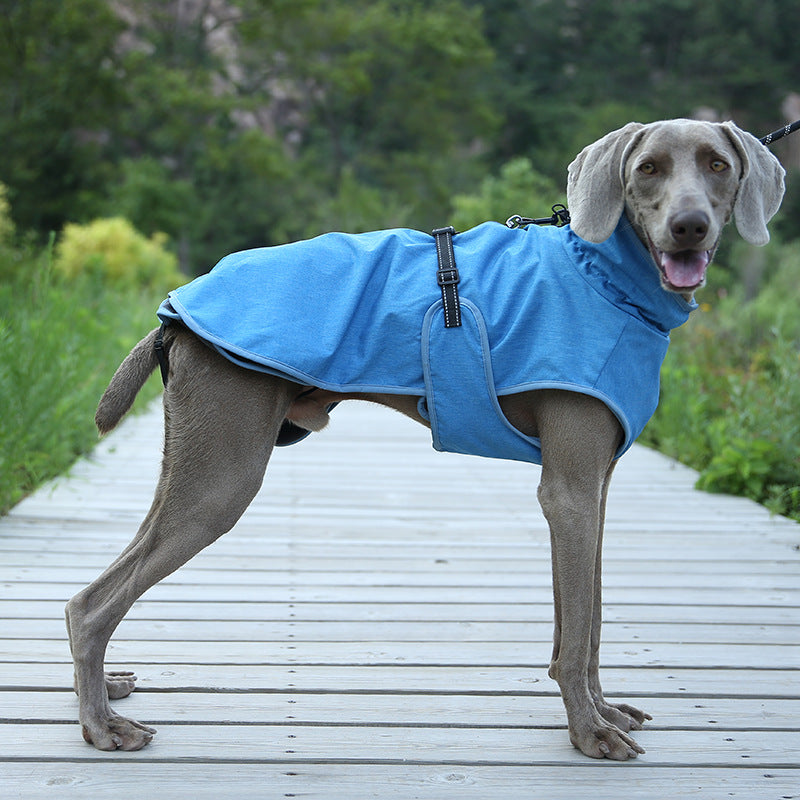 Shell Winter Outdoor Jacket