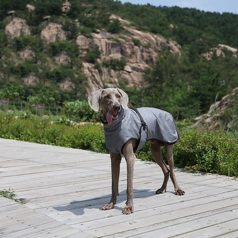 Shell Winter Outdoor Jacket