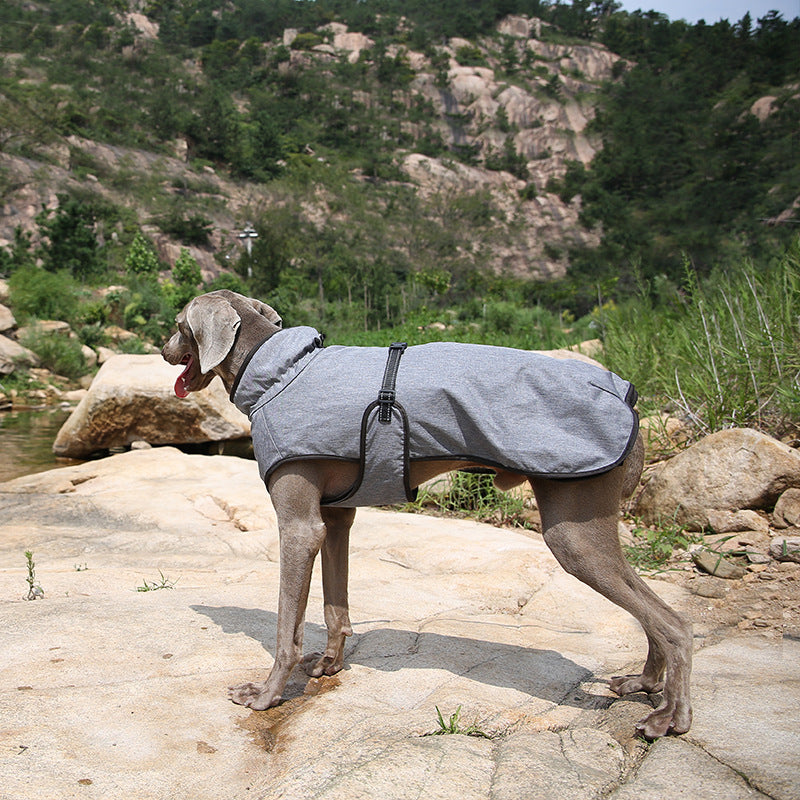 Shell Winter Outdoor Jacket