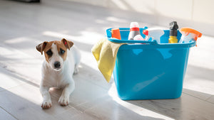 Keeping Pets Clean with Bath Supplies