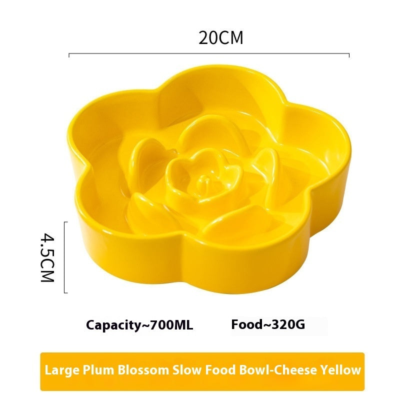 Why Your Pet Deserves the Best: Introducing the Pet Ceramic Slow Feeding Bowl