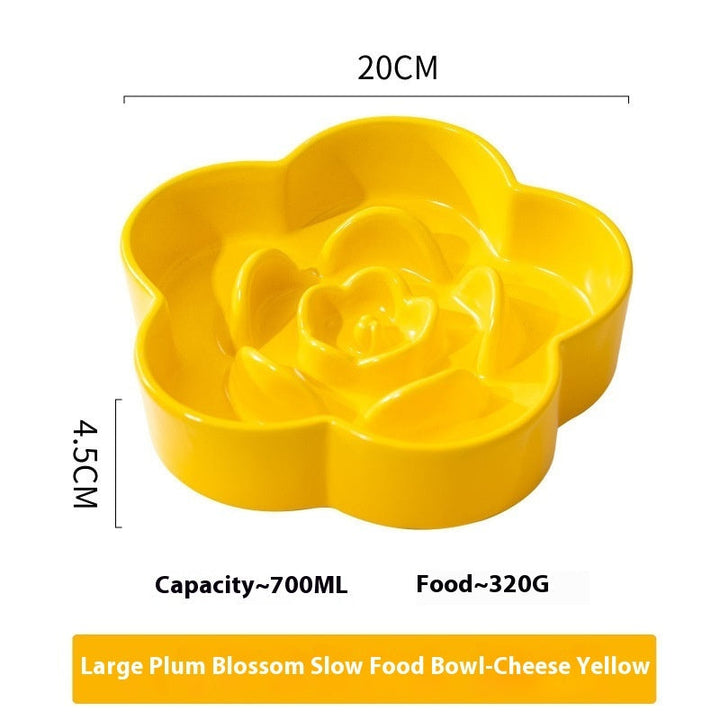 Why Your Pet Deserves the Best: Introducing the Pet Ceramic Slow Feeding Bowl