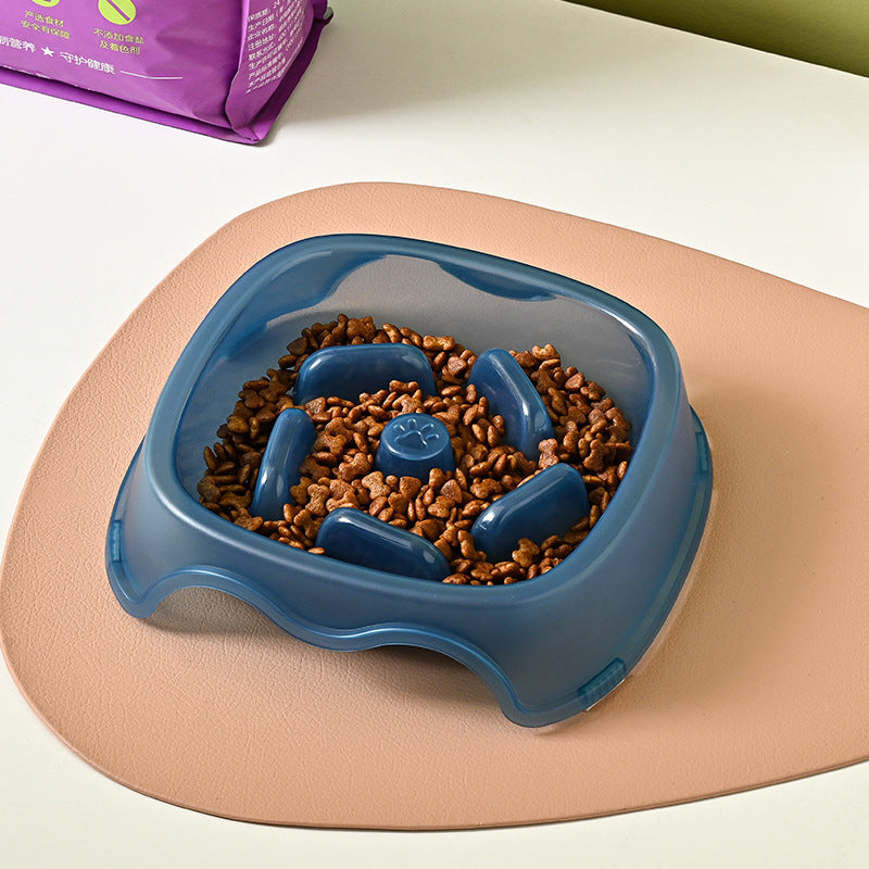 Pet Anti Choking Slow Feeding Water Bowl