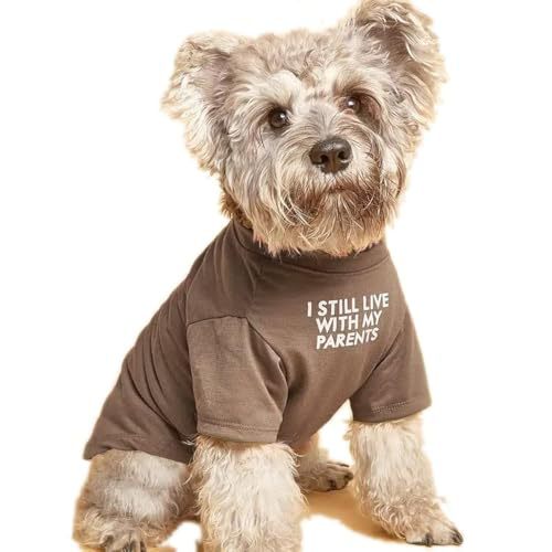 Pet Round Neck T Shirt Clothing Apparel