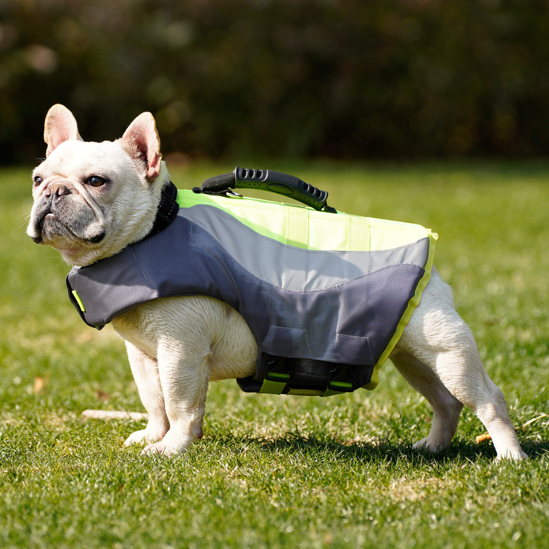 Reflective Pet Swim Safety Life Jacket Vest