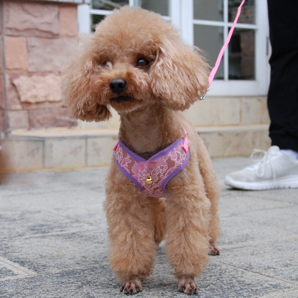 Pet Undershirt Chest Harness Leash Set