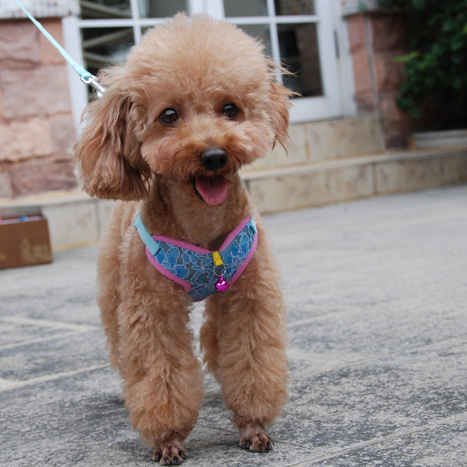 Pet Undershirt Chest Harness Leash Set