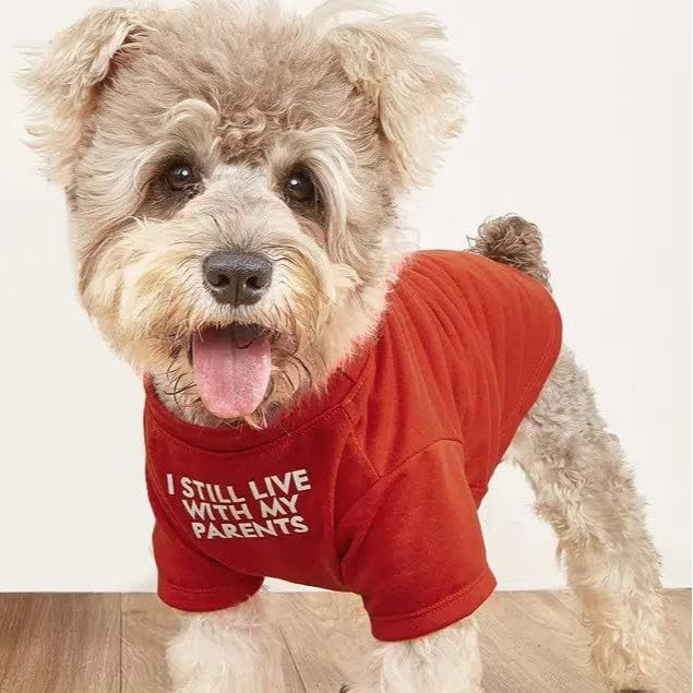 Pet Round Neck T Shirt Clothing Apparel