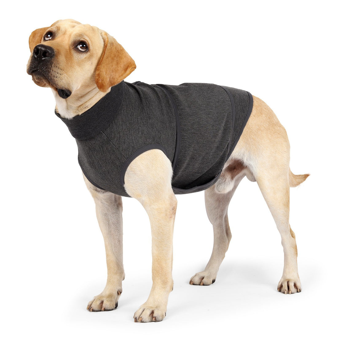 Pet Emotional Comfort Double Layer Jacket Clothing