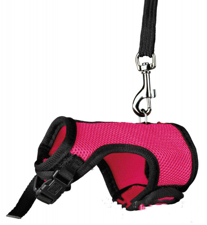 Pet Small Size Leash Lightweight Control Lead