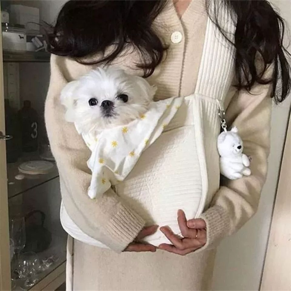 Pet Canvas Breathable Shoulder Tote Carrier Bag