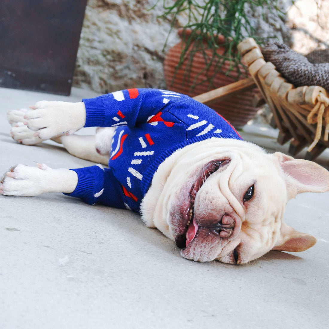Warm Knit Pet Sweater