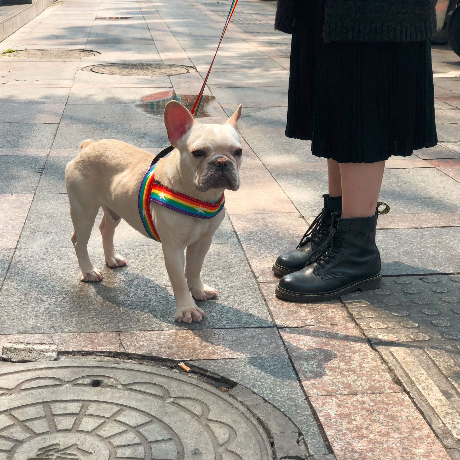 Pet Rainbow Chain Leash Cool Durable Control Lead