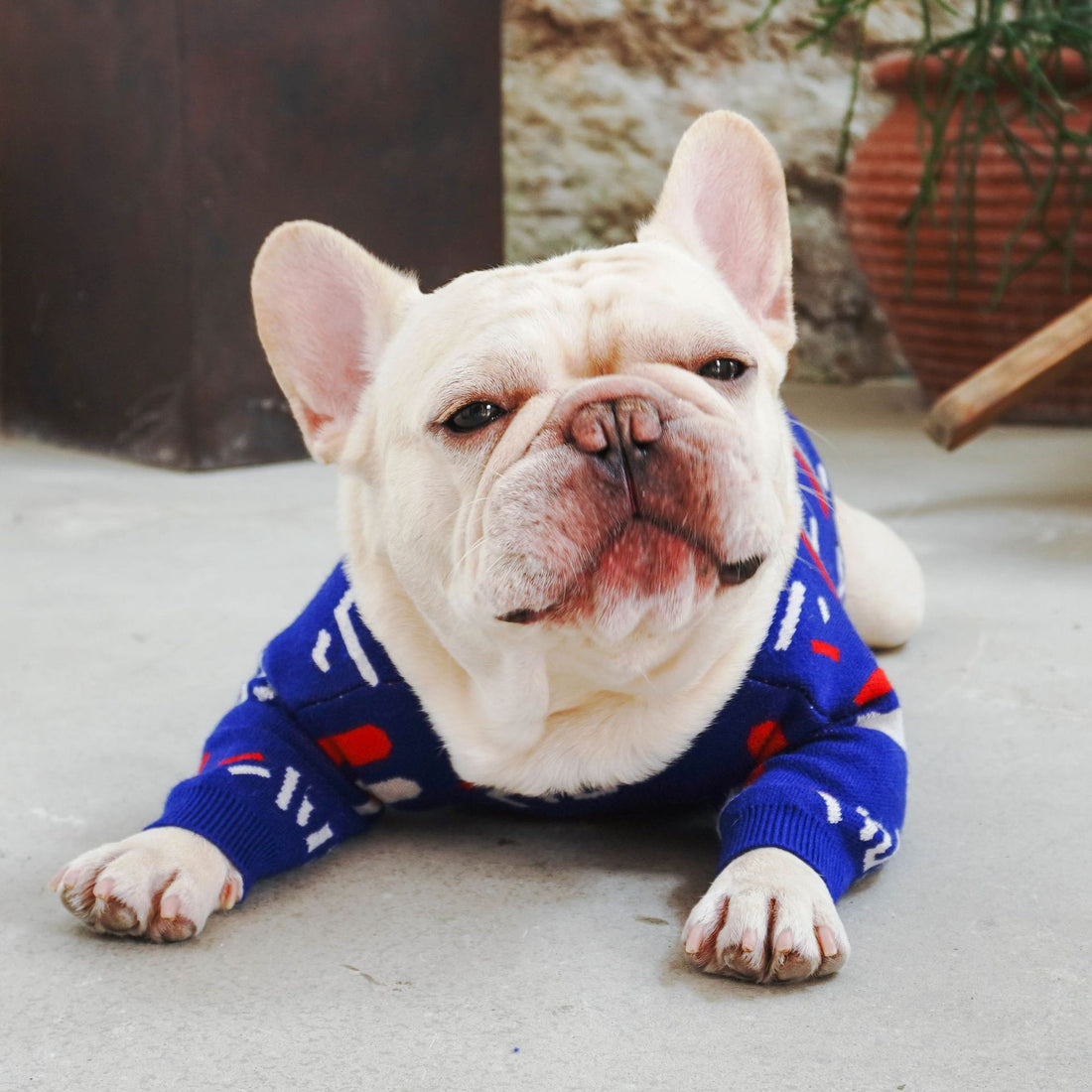 Warm Knit Pet Sweater