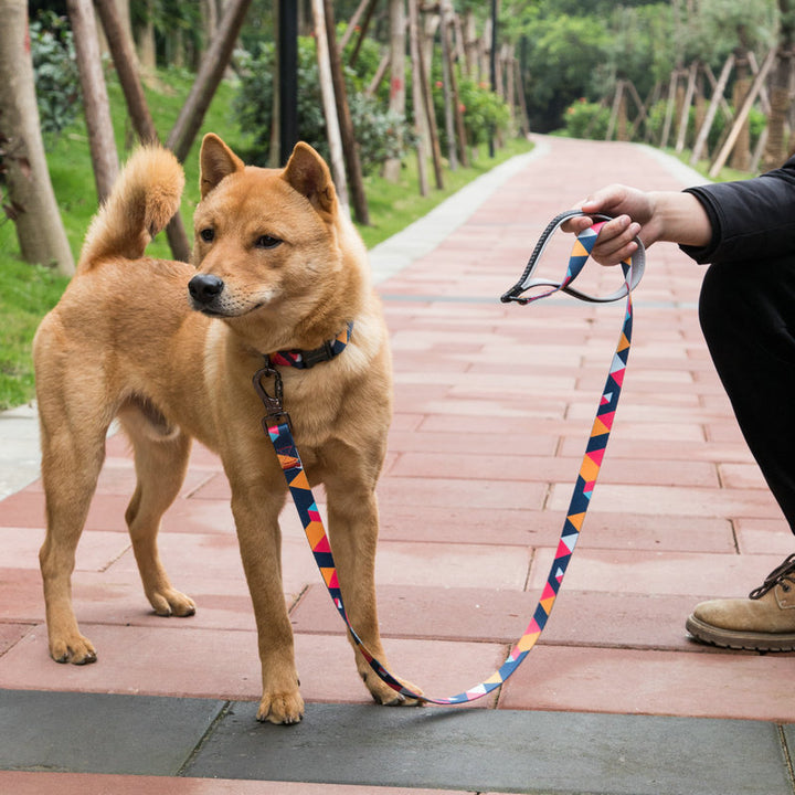 Pet Leash Durable Adjustable Control Lead