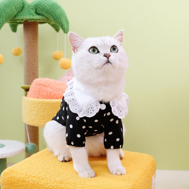 Blue Pet T Shirt Clothing Apparel