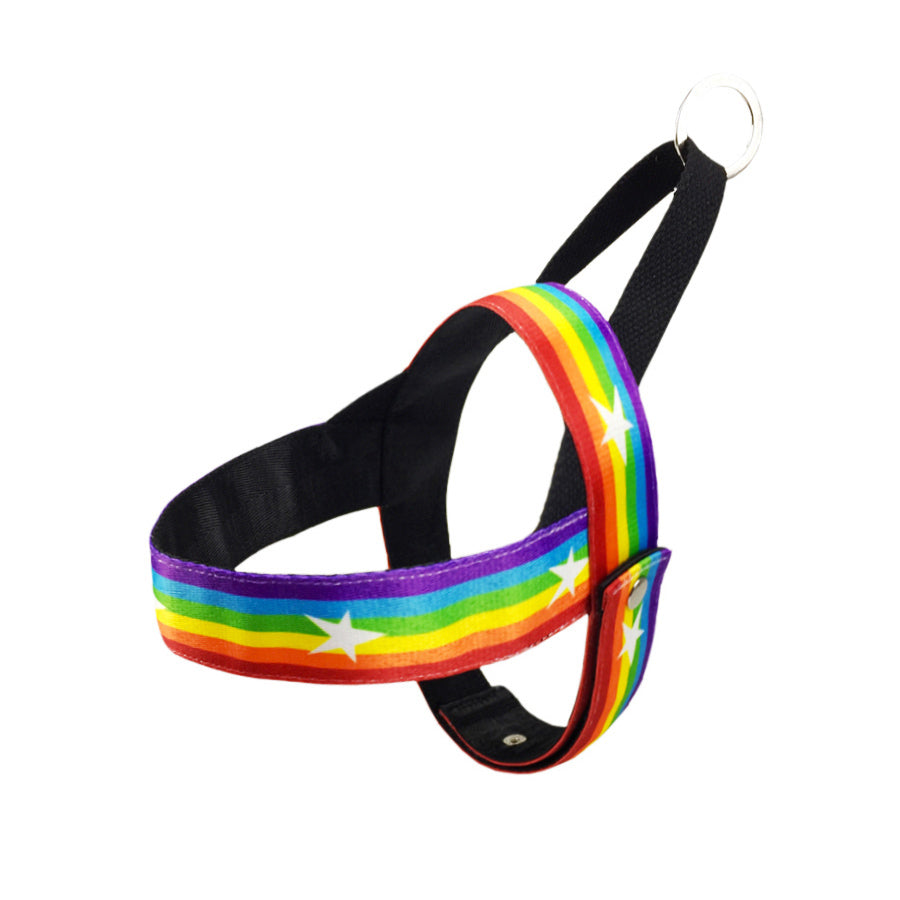 Pet Rainbow Chain Leash Cool Durable Control Lead