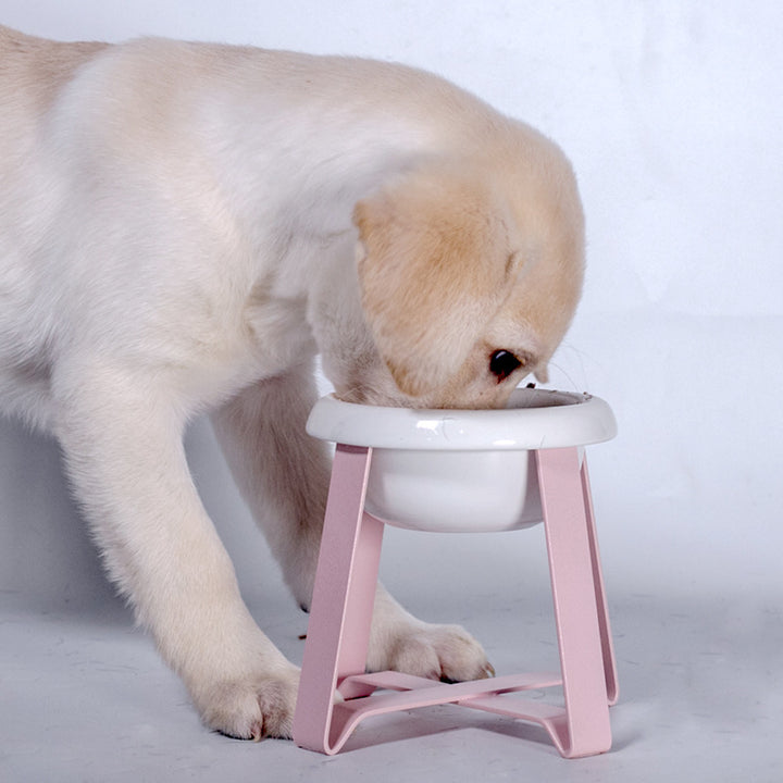 Pet Anti Slip Iron Stand Feeding Bowl Water Feeder