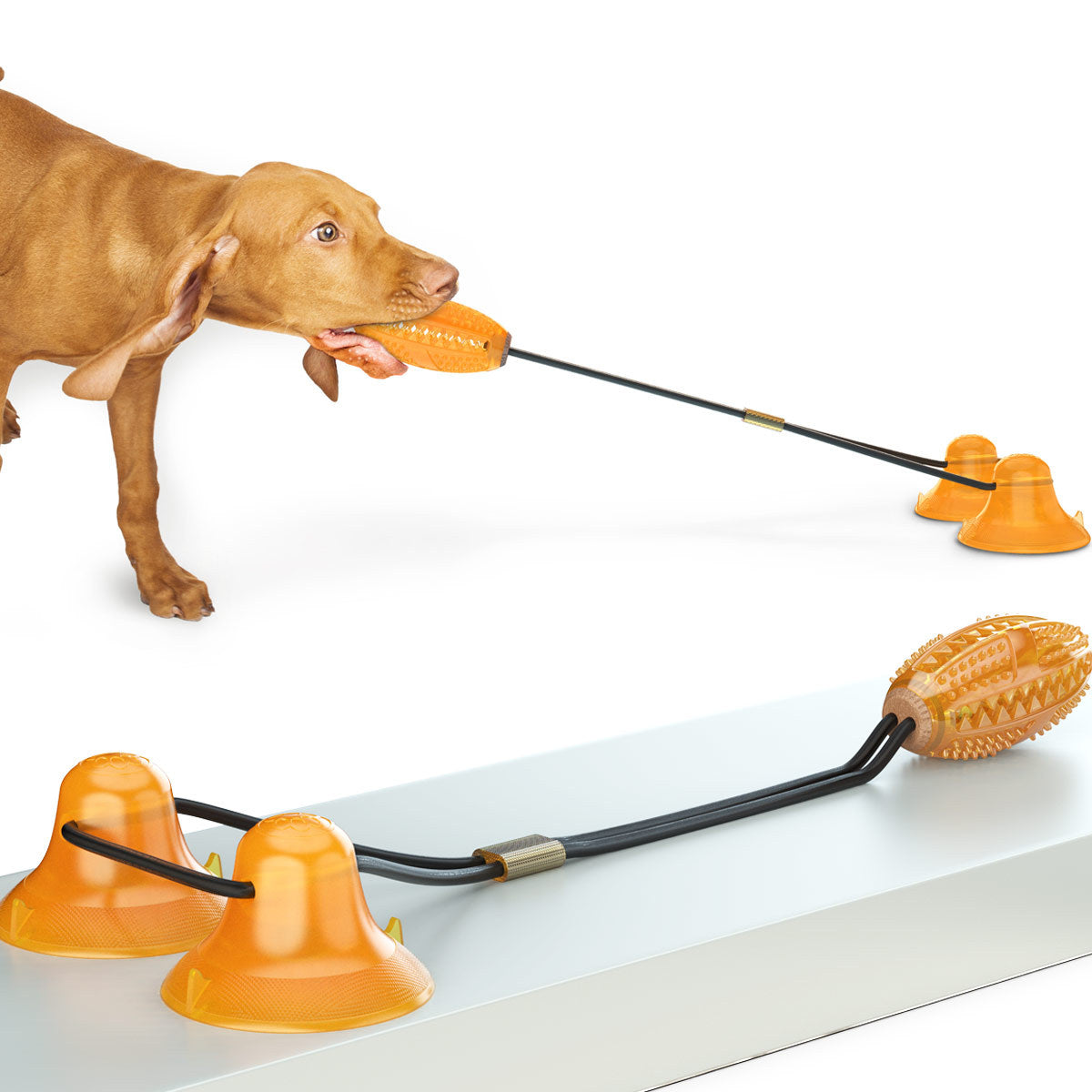 Multifunction Double Tug Rope Sucker Ball Molar Chew Toy