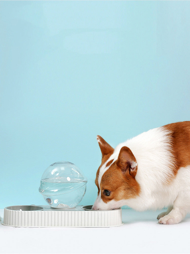 Automatic Plastic Pet Feeding and Water Bowl