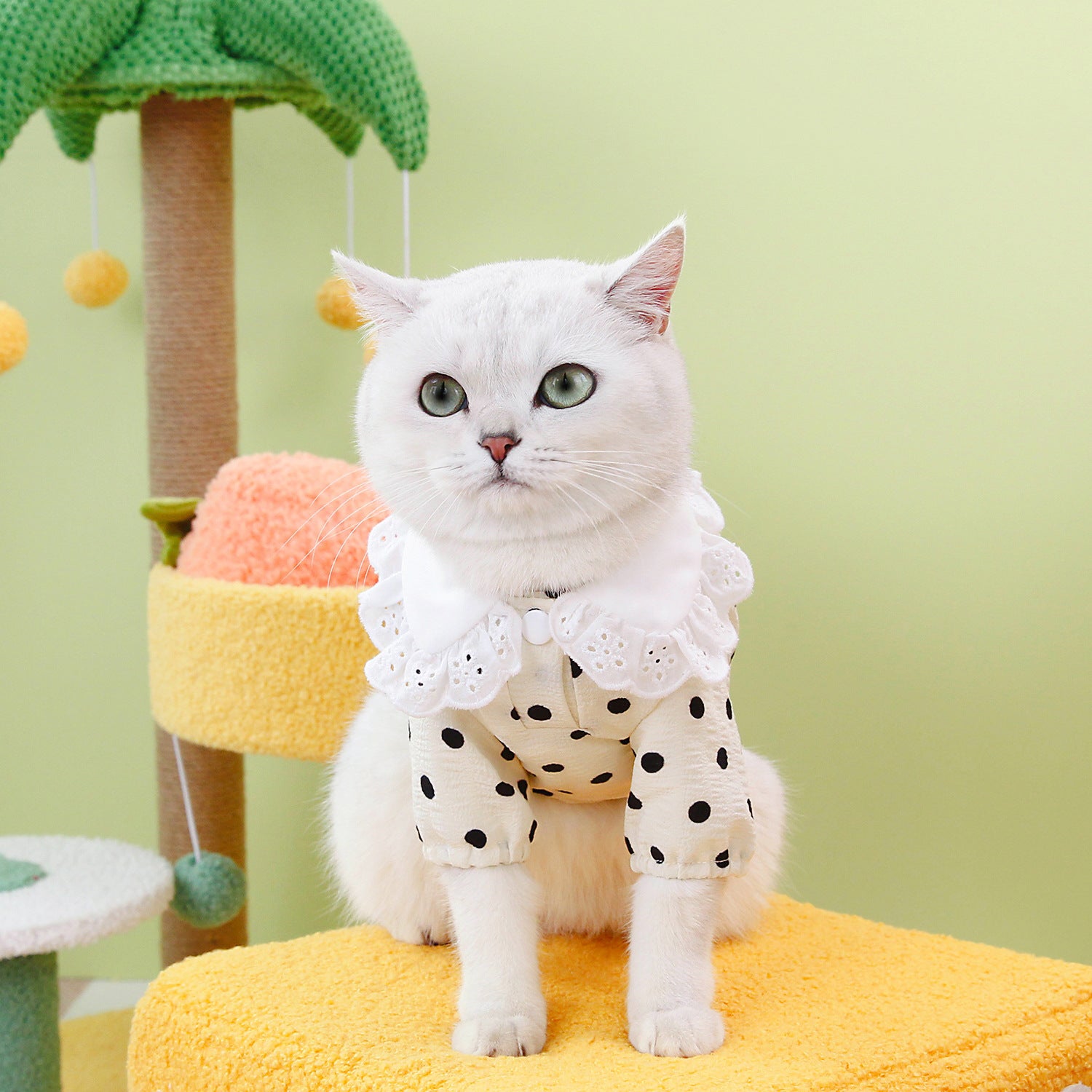 Blue Pet T Shirt Clothing Apparel