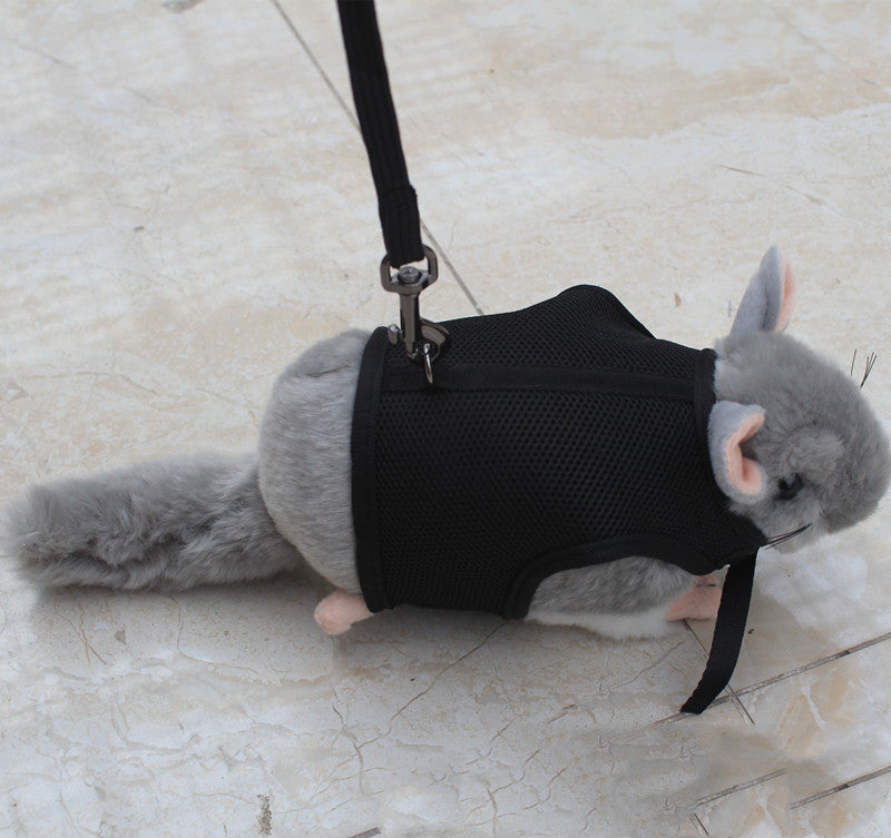 Pet Small Size Leash Lightweight Control Lead
