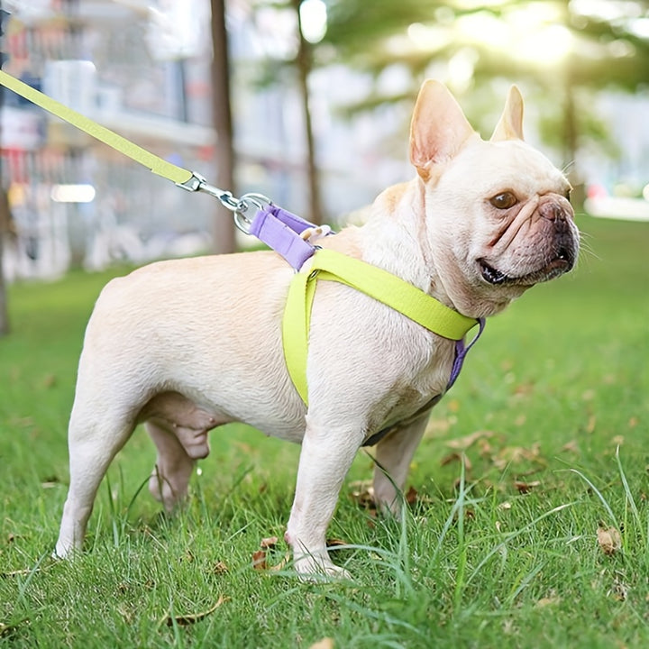 Pet Harness Set Anti-Escape Vest Chest Leash Cotton Designer