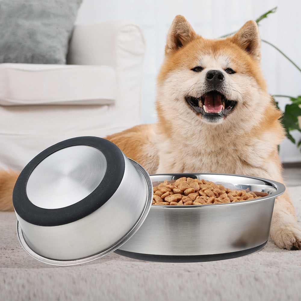 Silicone and Stainless Steel Pet Feeding Bowl