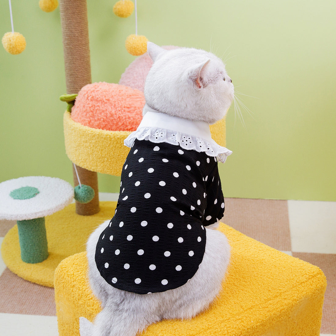 Blue Pet T Shirt Clothing Apparel