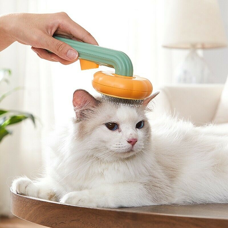Pet Pumpkin Self-Cleaning Slicker Grooming Brush