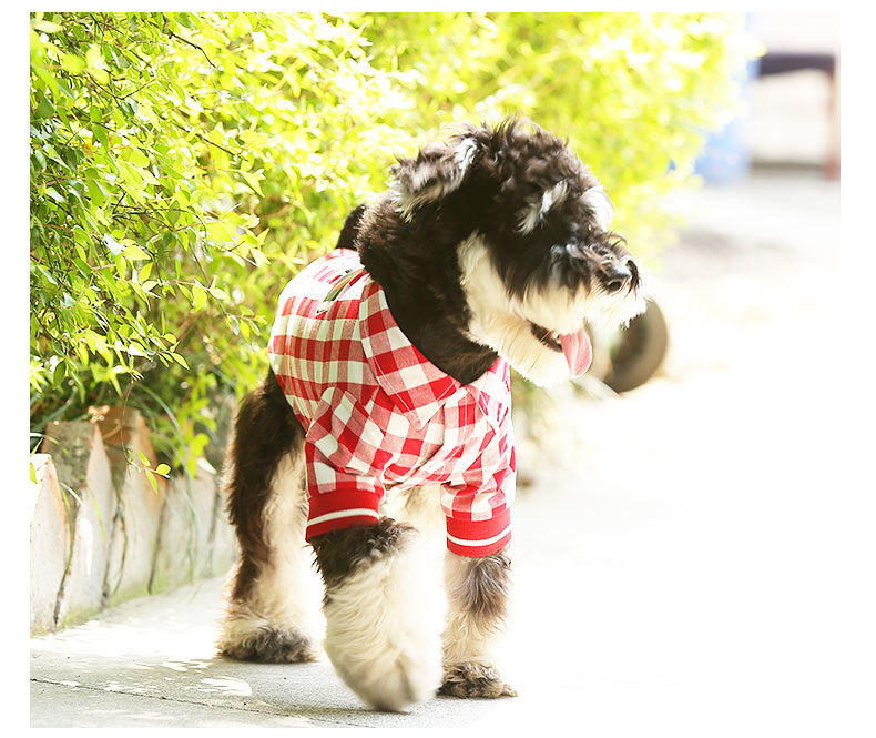 Pet Summer Law Fight T Shirt Clothing Apparel