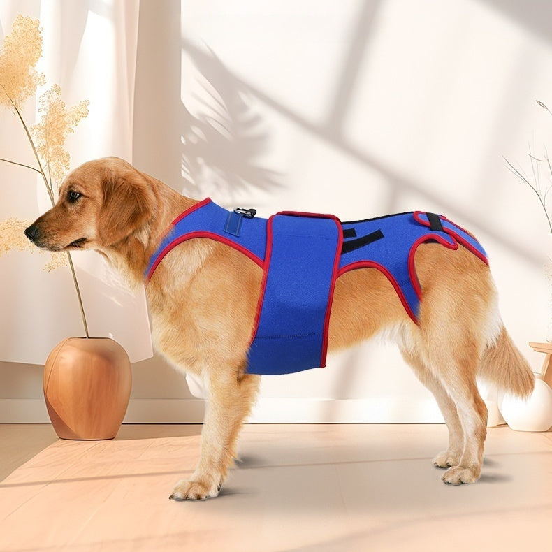 Pet Spine Support Jacket for Posture Correction