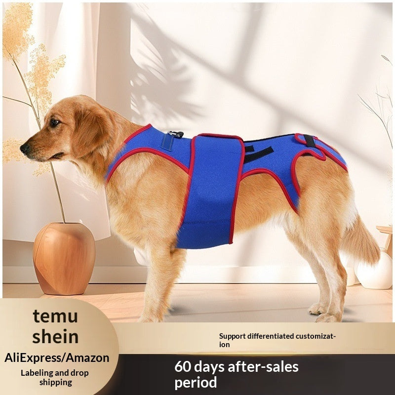 Pet Spine Support Jacket for Posture Correction