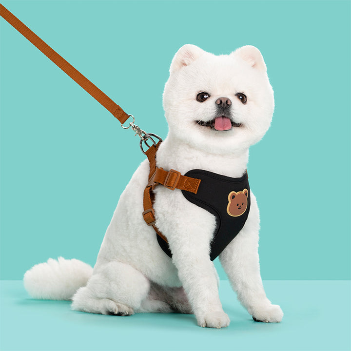 Pet Outing Strap Leash Harness