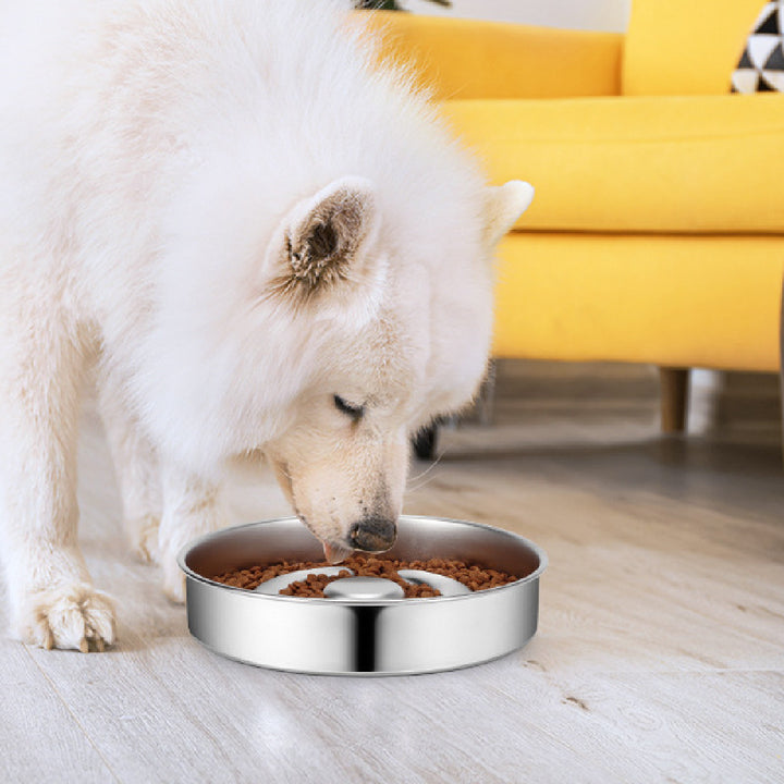 Slow Feeding Pet Bowl with Stainless Steel Neck Guard