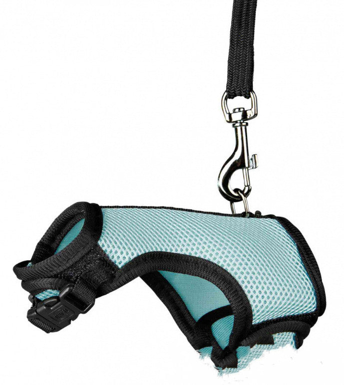 Pet Small Size Leash Lightweight Control Lead