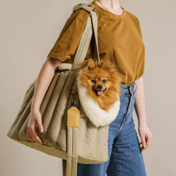 Pet Carrier Lightweight Waterproof Portable Fashion Handbag
