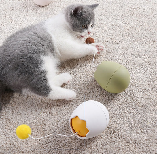 Funny Interactive Pet Play Artifact Toy