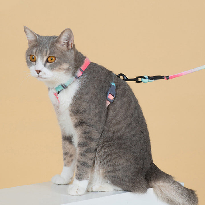 Pet Fashion Safety Anti Escape Leash