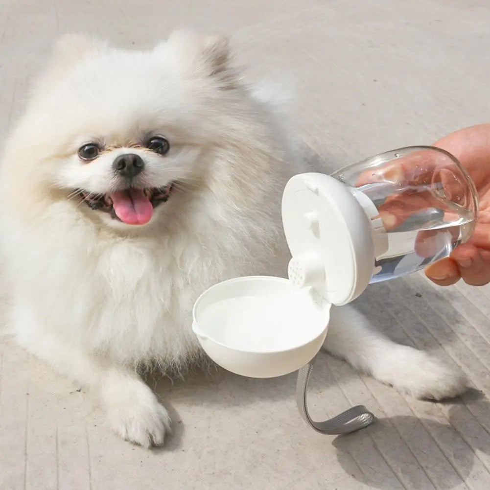 Portable Outdoor Pet Water Bottle with Lanyard