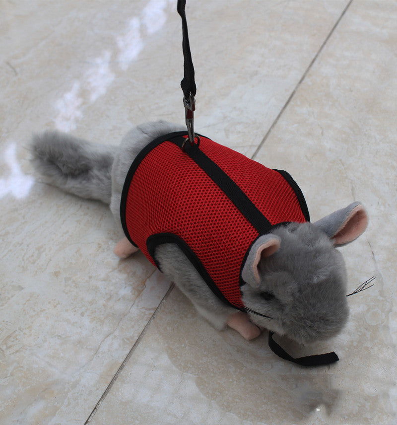 Pet Small Size Leash Lightweight Control Lead