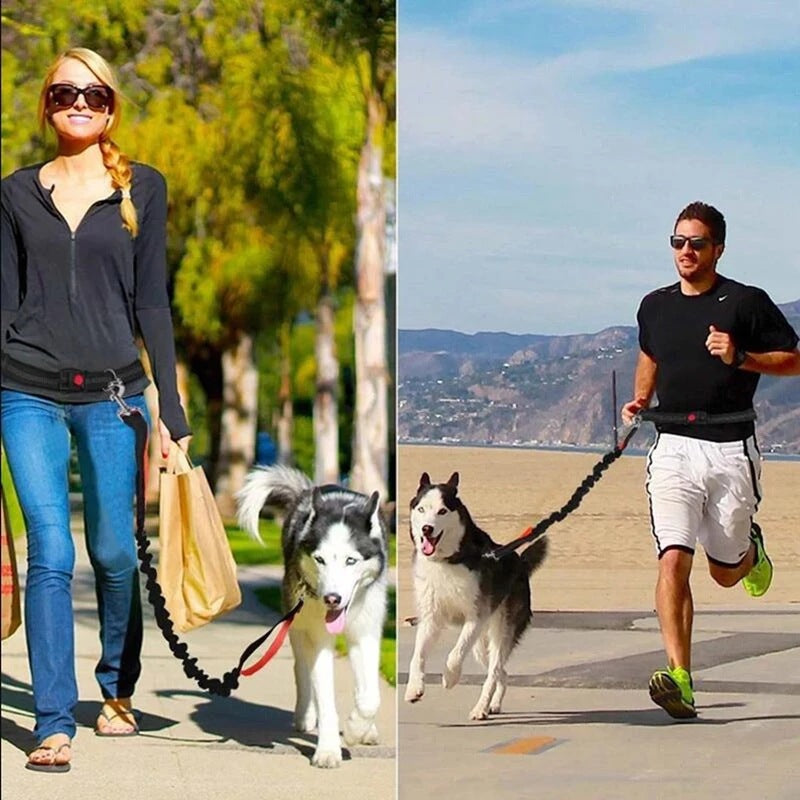 Pet Adjustable Jogging Harness Leash Collar
