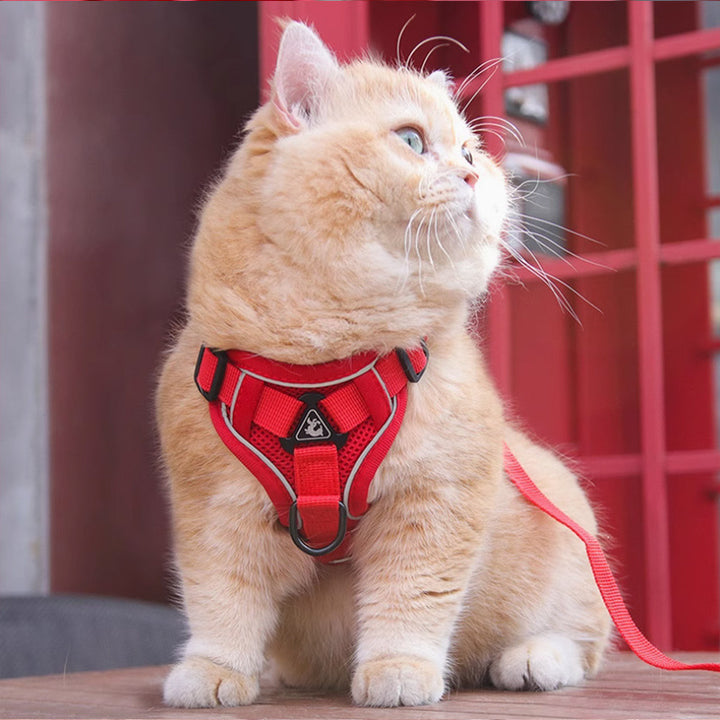 Pet Vest Chest Harness Leash Set