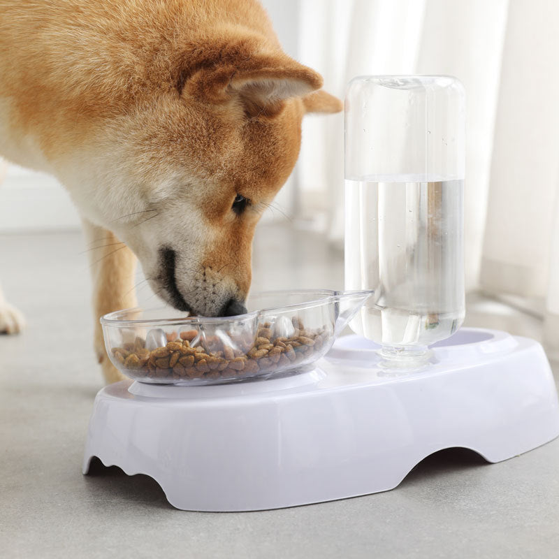 Pet Transparent Plastic Feeding And Drinking Bowl