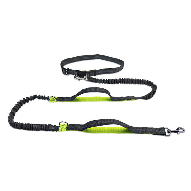 Pet Adjustable Jogging Harness Leash Collar