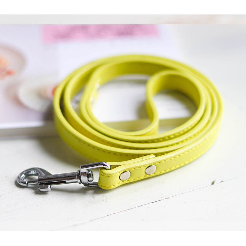 Pet Leash Collar Set