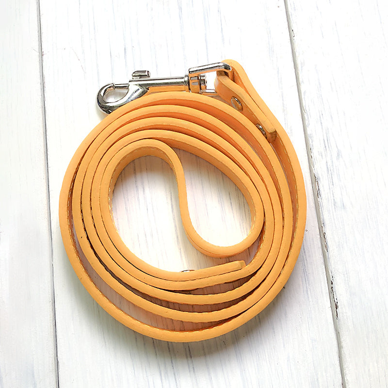 Pet Leash Collar Set