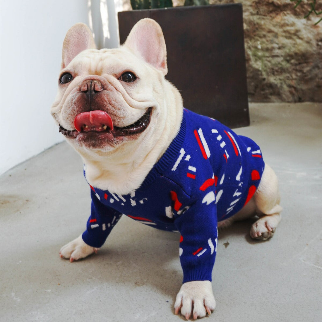 Warm Knit Pet Sweater